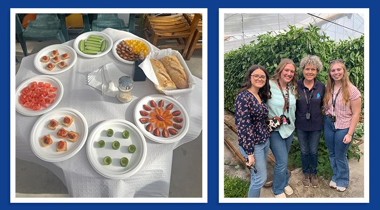 A collage of two images on a blue background. On the left is a photo of Kailyn Pippin standing in a greenhouse with Vegetable Farmer Lola Gomez and two FFA student members. On the right is a photo of a table covered in an array of aesthetically plated vegetables from the greenhouse.